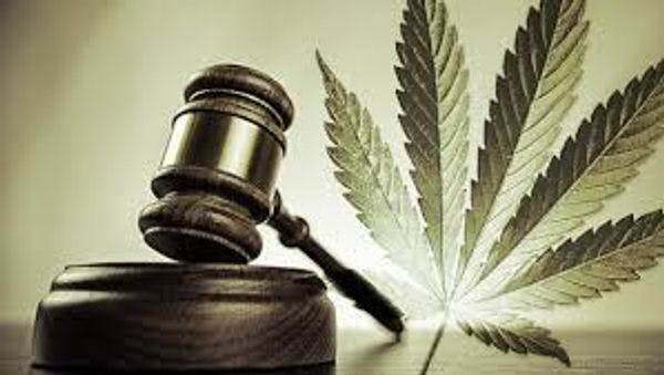 Legal status of cannabis in Germany – an overview