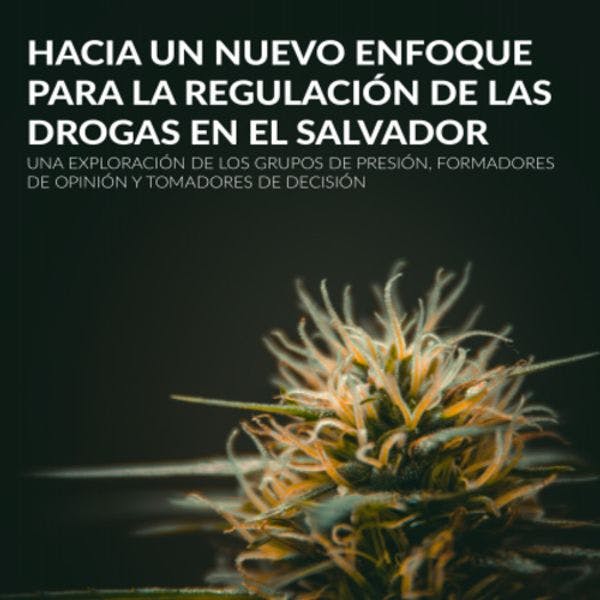 Hacia un nuevo enfoque para la regulación de las drogas en El Salvador
