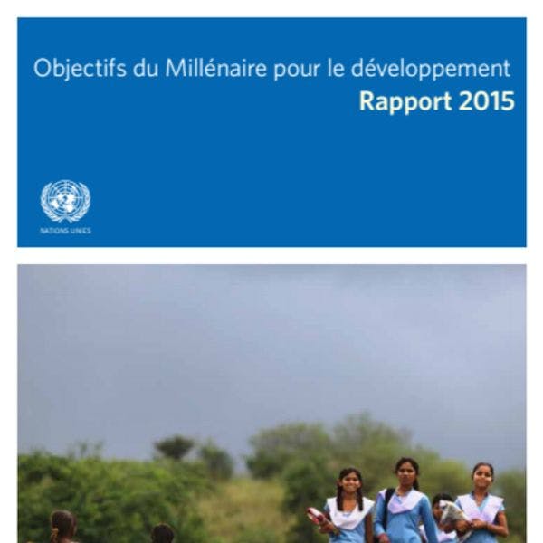 Objectifs du millénaire pour le développement rapport 2015