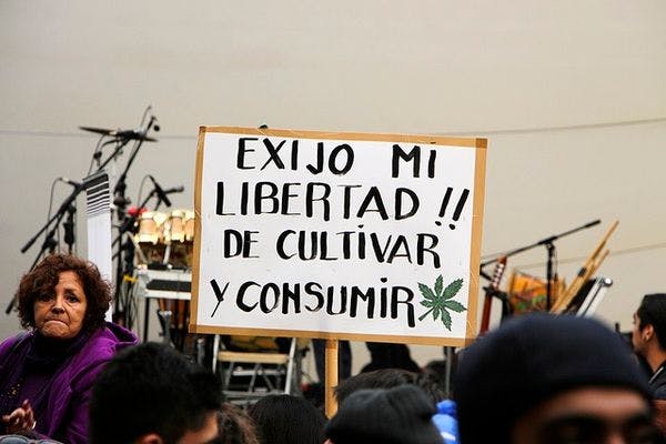 Chile lawmakers approve marijuana decriminalisation bill