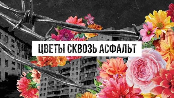 Flowers growing through the asphalt - A video by the Eurasian Network of People who Use Drugs
