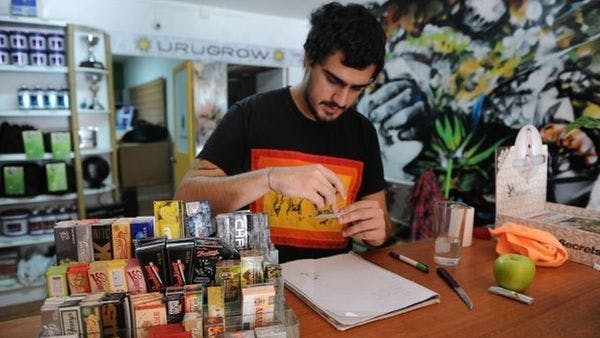 Uruguay cannabis growers' clubs: Registration begins