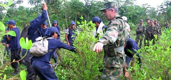 Drogas y paz en Colombia