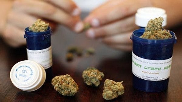 New Zealand Health Ministry works to mid-2020 date to legalise medicinal cannabis 