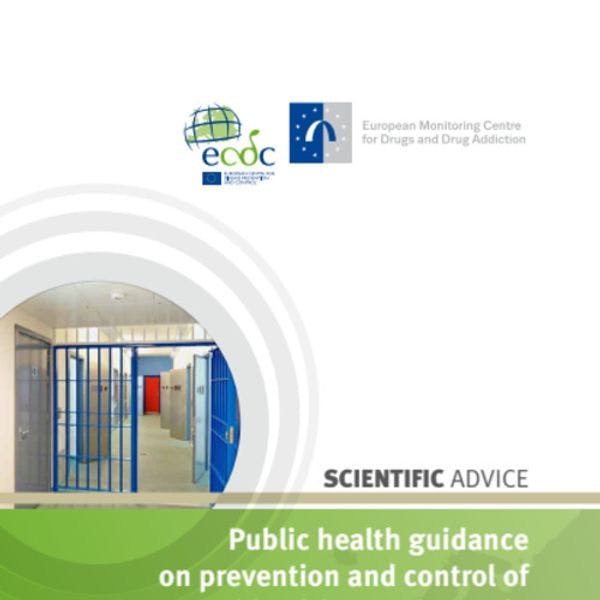 Public health guidance on prevention and control of blood-borne viruses in prison settings