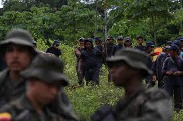 Forced coca eradication causing violent clashes throughout Colombia