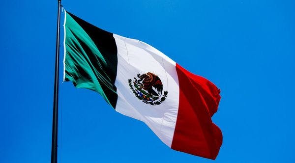 La soumission de Release à la Cour Suprême du Mexique pour soutenir l'appel du cas portant sur le cannabis