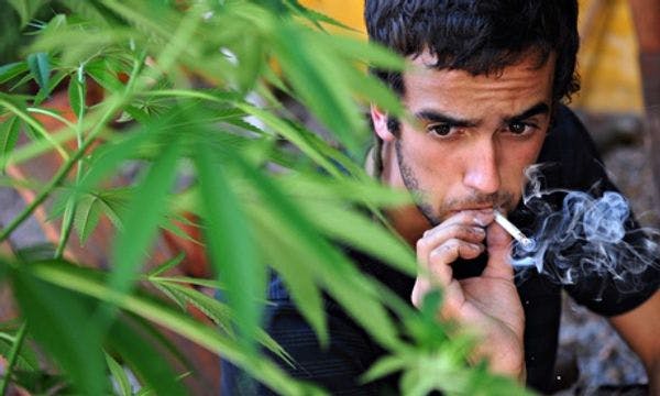 Uruguay moves to legalise marijuana