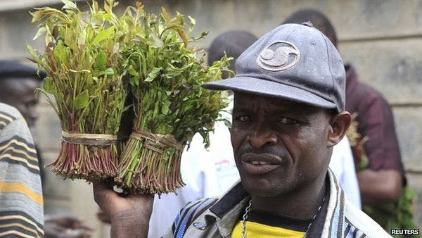 Kenya appeals to UK not to ban khat