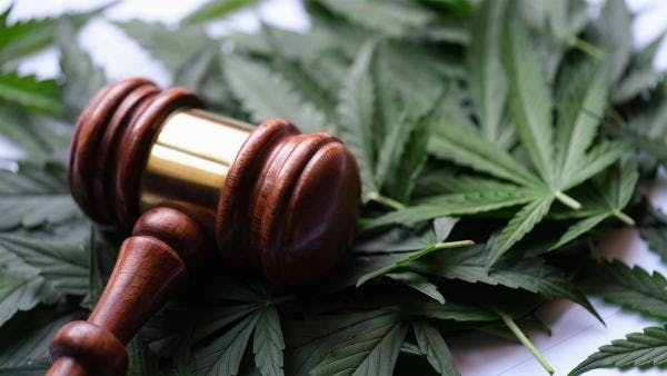 Cannabis, harm reduction & beyond: Notes on Minnesota's trailblazing drug law reform