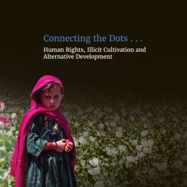 Connecting the dots... human rights, illicit cultivation and alternative development