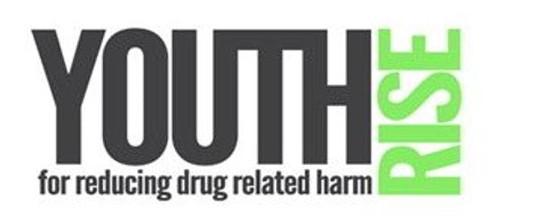 Youth RISE drug policy e-course