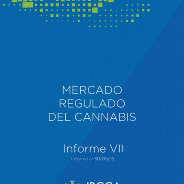 Mercado regulado del cannabis en Uruguay: Informe VII