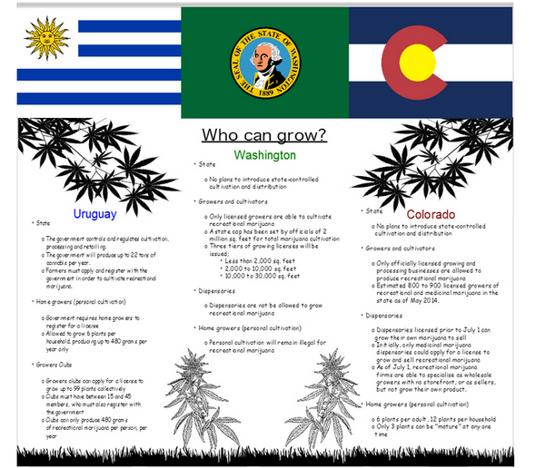 Infographic: The differences between Uruguay, Colorado & Washington marijuana laws