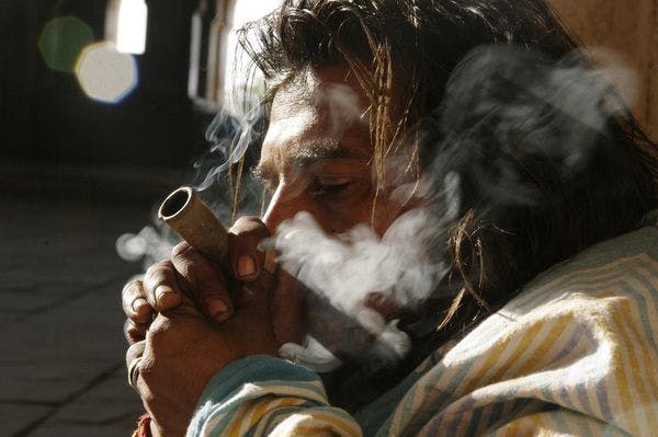 ¿Debe la India legalizar el cannabis?