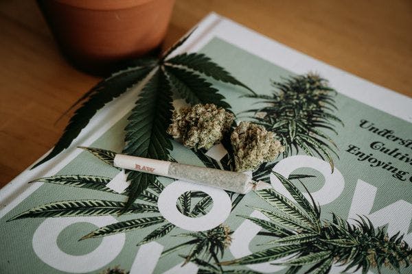 Cannabis : un rapport parlementaire critique "l'hypocrisie des discours de fermeté"