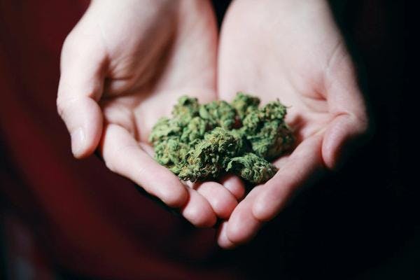 Ukraine legalises cannabis for medical use