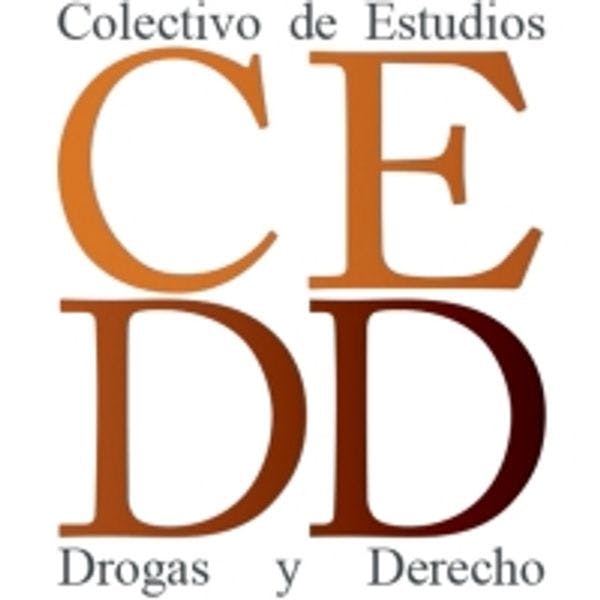 Investigadores latinoamericanos del CEDD analizan el impacto de la legislación en materia de drogas