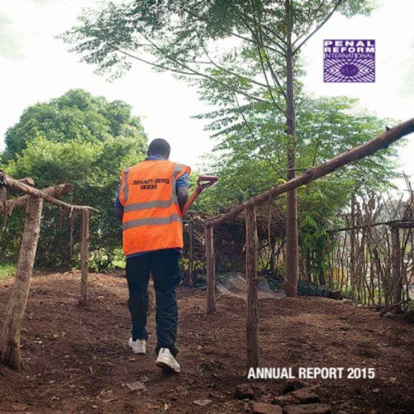 PRI annual report 2015