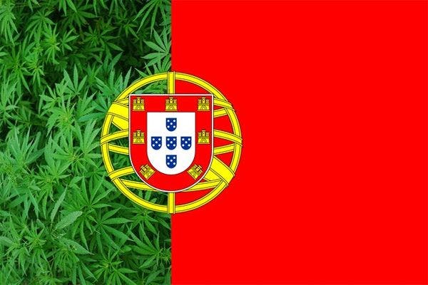 Portugal MP calls for cannabis to be legalised, sold at street value, to "end traffickers' business"