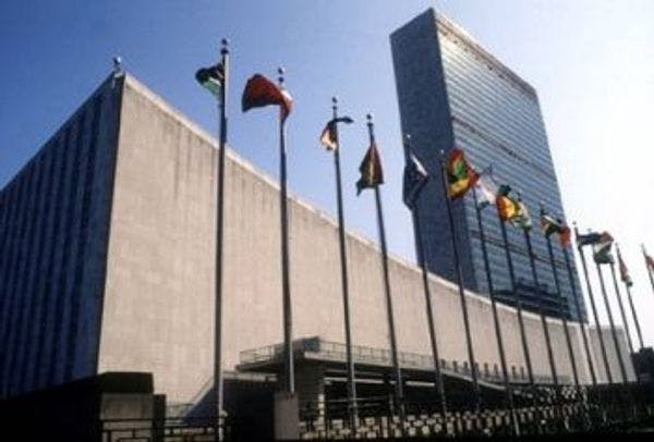VMMA: USA cannabis policy discussed at United Nations
