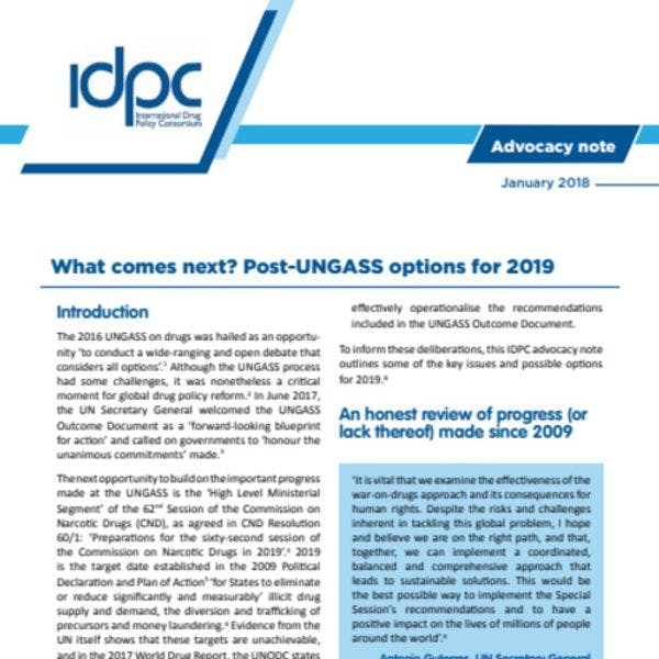 What comes next? Post-UNGASS options for 2019 - Version 4