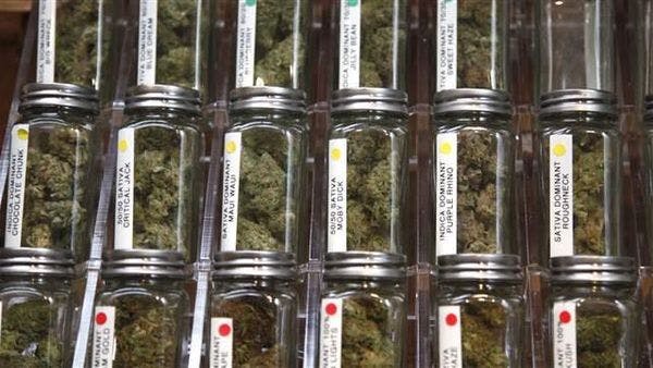 International delegation visits Colorado to learn about regulating marijuana