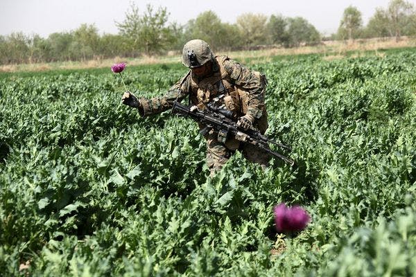 Rethinking the drugs war in Afghanistan