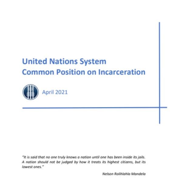 United Nations system common position on incarceration