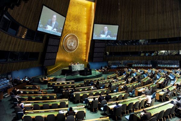 IDPC statement at UN General Assembly debate "Drugs and crime as a threat to development"