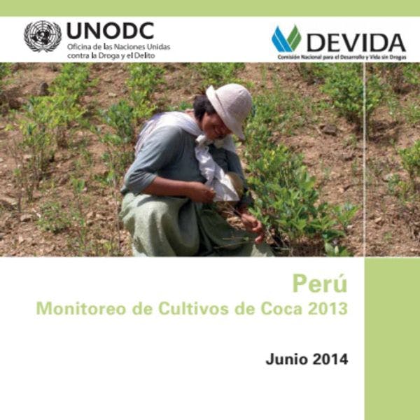 Perú - Monitoreo de Cultivos de Coca 2013