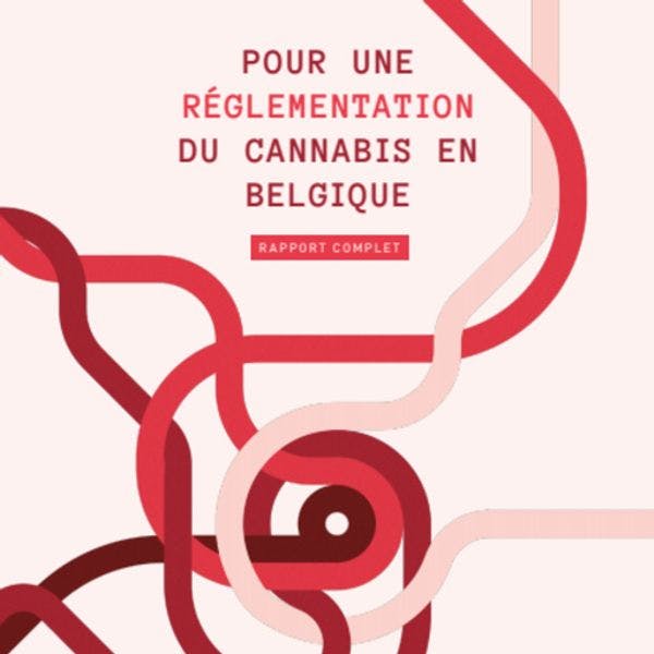 Pour une réglementation du cannabis en Belgique