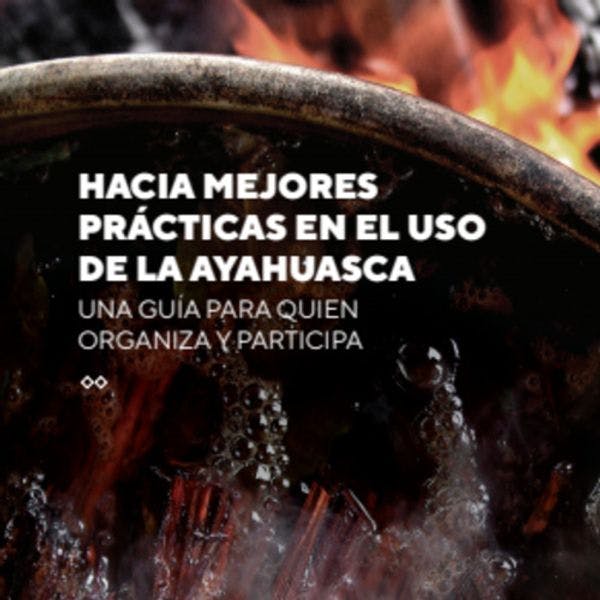 Hacia mejores prácticas en el uso de la ayahuasca una guía para quien organiza y participa