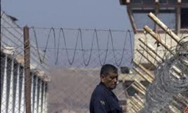 Survey shows drug trade filling Mexico's federal prisons 