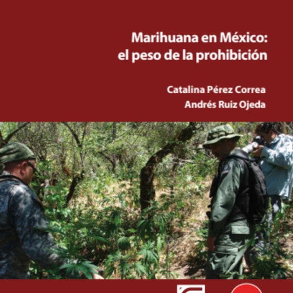 Marihuana en México: el peso de la prohibición