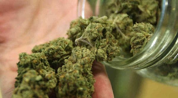 Costa Rica abre debate en Congreso sobre legalización de marihuana medicinal