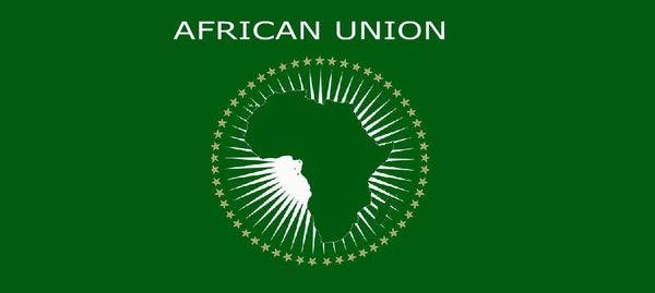 IDPC attends African Union Conference on drugs