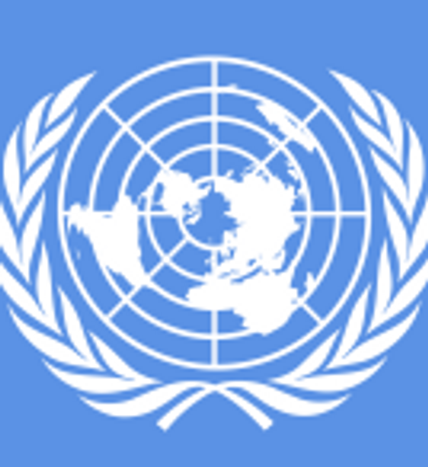 United Nations: Criminal sanctions for drug use are "not beneficial"