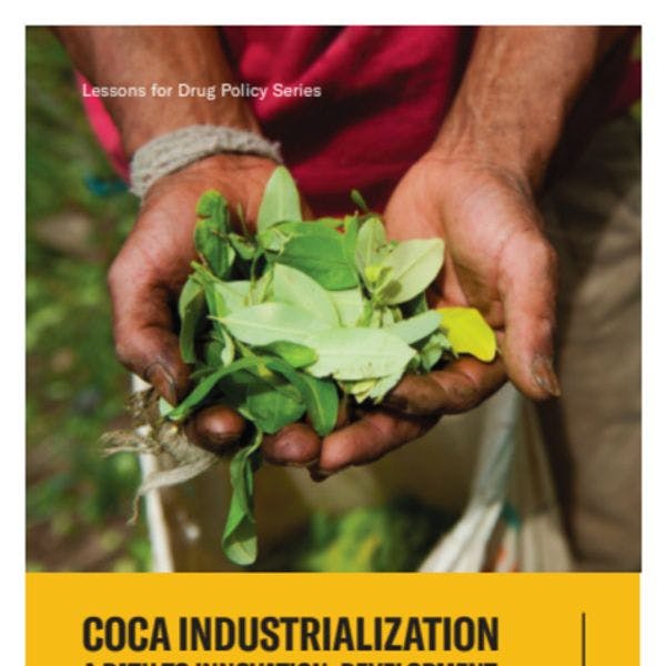 Coca industrialization: A path to innovation, development and peace in Colombia
