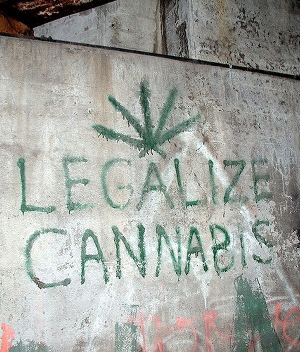 How and why Italy's cannabis laws could soon change