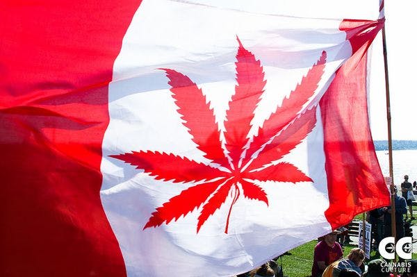 Le processus de légalisation du cannabis sur les rails au Canada