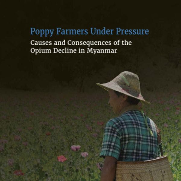 Les cultivateurs de pavot sous pression - Causes et conséquences du déclin de l'opium au Myanmar