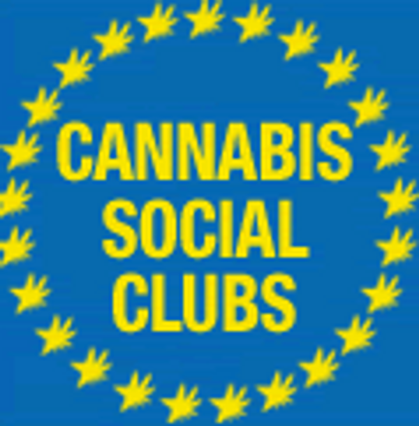 Pour plus de sécurité dans la ville: un modèle efficace de réglementation de l’accès au cannabis à Genève