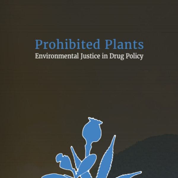 Plantas prohibidas: Justicia ambiental en políticas sobre drogas