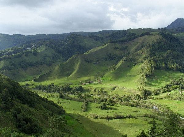 After decades of war, Colombian farmers face a new test: Peace