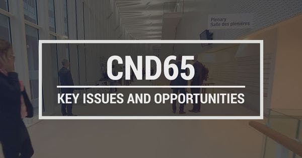 CND 65: Key issues and opportunities