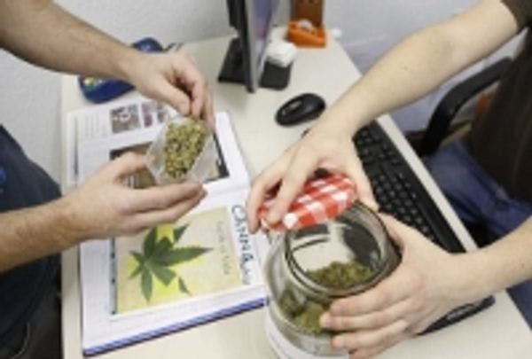 San Sebastián estrena la primera regulación de clubes de cannabis de España 