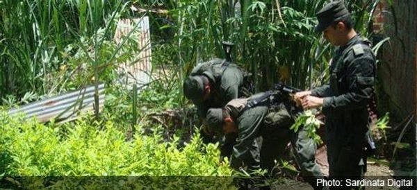 Colombia aprueba un primer borrador de ley sobre la descriminalización de los cultivos de drogas