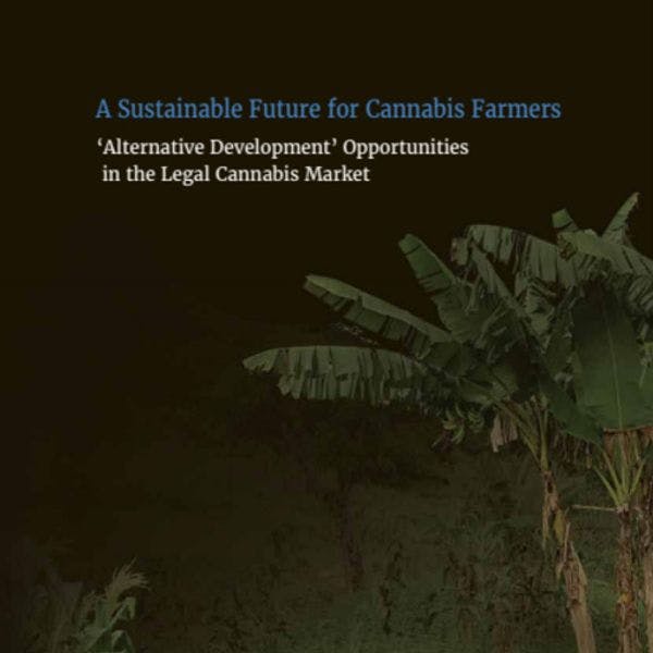 A sustainable future for cannabis farmers ‘alternative development’ opportunities in the legal cannabis market