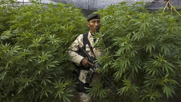 Centroamérica se abre al debate sobre alternativas en las políticas de drogas